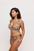 PrimaDonna Manali Half Padded Plunge Bra